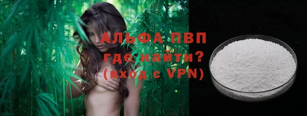 гидра Козловка