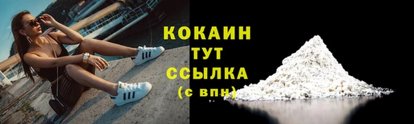 гидра Козловка