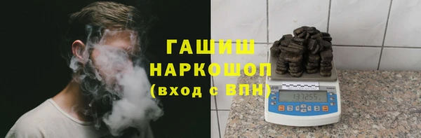 гидра Козловка
