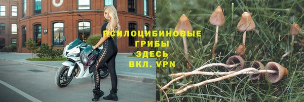 гидра Козловка