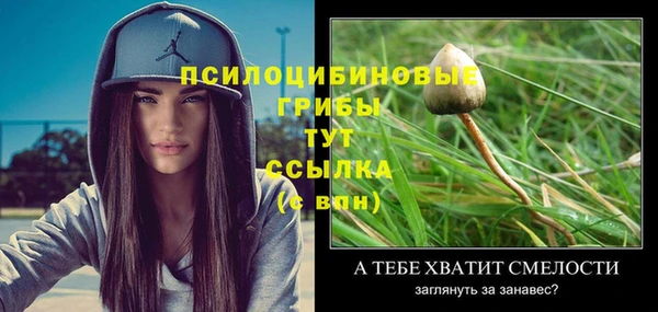 герыч Козельск