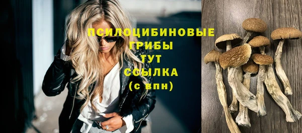 гидра Козловка