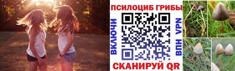 Псилоцибиновые грибы мухоморы  Купить  Исилькуль 
